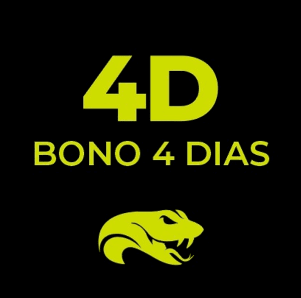 BONO 4 DIAS